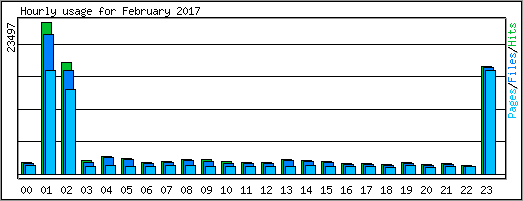 Hourly usage